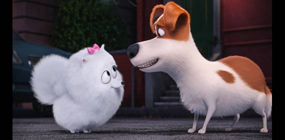 Secret Life of Pets